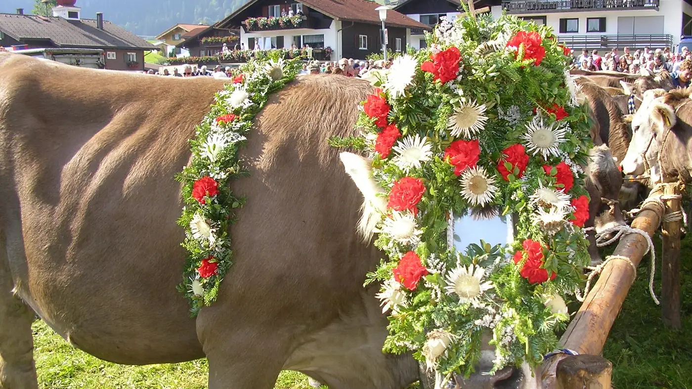 Almabtriebe und Viehscheide in Bayern