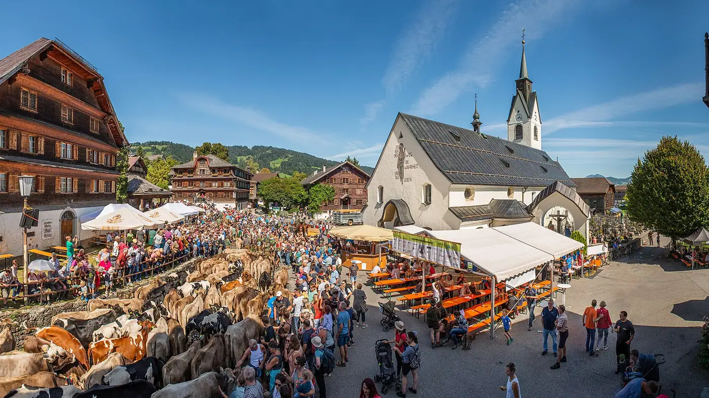Almabtrieb Stoißer Alm in Teisendorf (Stoißberg)