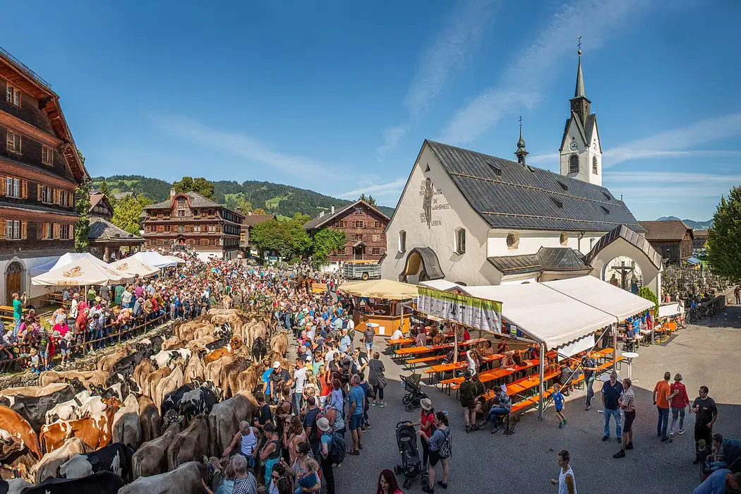 Almabtrieb Stoißer Alm in Teisendorf (Stoißberg)