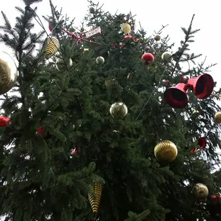 Romantische Weihnacht auf Schloss Thurn und Taxis in Regensburg